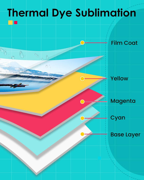 Compatible with Liene Amber M100/M200/M110/M210 4" × 6" Photo Paper & Ink Cartridge Refill
